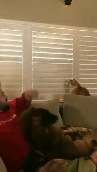 C'est l'heure du d-d-d-d-duel !