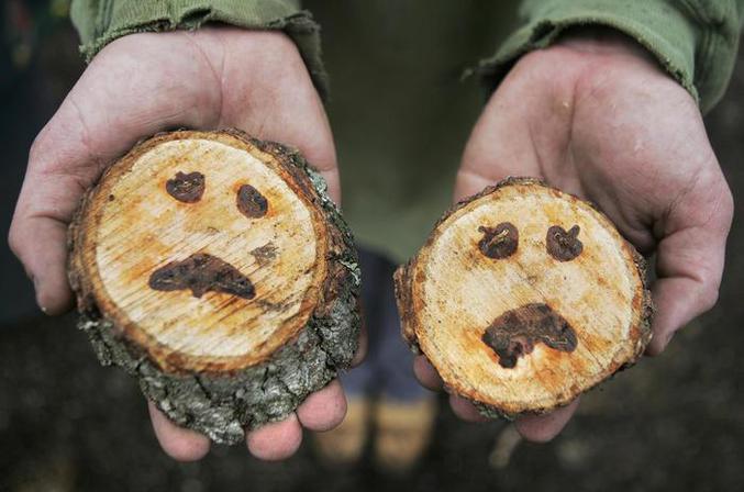 Même à l'intérieur des arbres... Aaaaaaaaaaaaaaaaah !!!