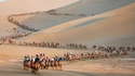Touristes à dos de chameau