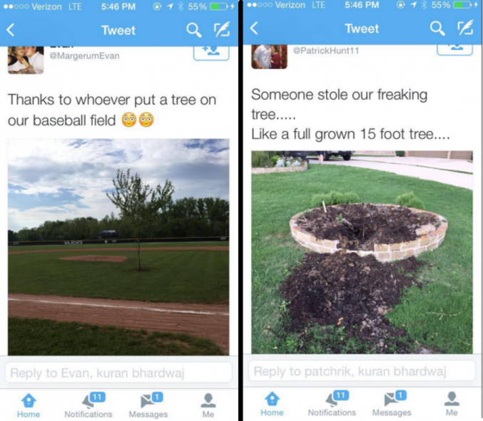 trad tweet 1 : Merci à celui qui à planter un arbre au milieu du terrain de baseball

trad tweet 2 : Quelqu'un a volé notre arbre ...Genre un arbre haut de 4 mètres