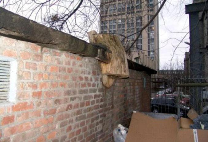 Un tronc d'arbre pris dans un mur.