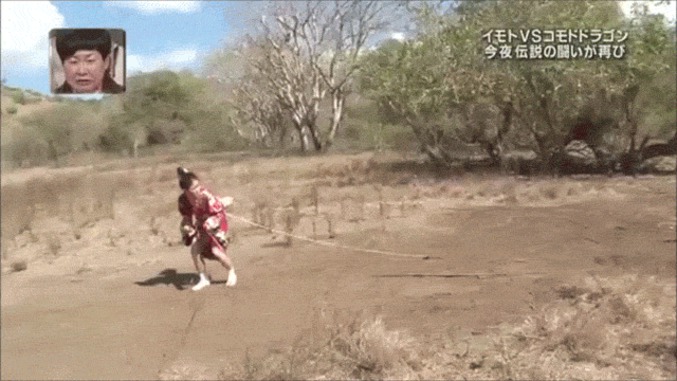 Les jeux japonais