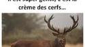 Pour ceux qui ne le connaîtraient pas encore