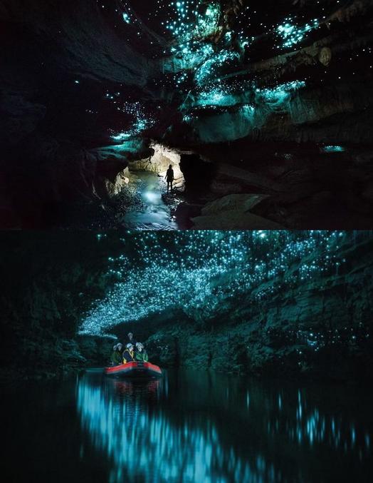 Un spectacle exceptionnel dans une luminescence due aux milliers de vers luisants sur les parois.