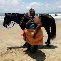 Les derniers instants de ce cheval 