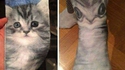 Une paire de chaussettes