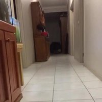 Il est de retour