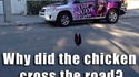 Pourquoi le poulet traverse la rue ?