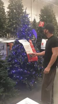 Un sapin turgescent