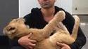 Simba et James...