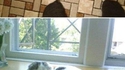 Les chats sont liquides