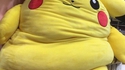 Bigkachu