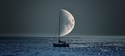 Demi-lune
