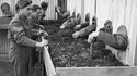 Entraînement à l'aveugle