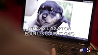 La vie sous Fillon 