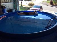 Mazette ! Les voisins se sont payé une piscine intérieure !
