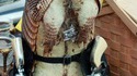 Red Dead Pangolin