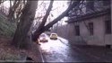 Tree falls directly on an oncoming Daewoo Lanos 