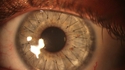T'as de beaux yeux, tu sais
