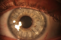 T'as de beaux yeux, tu sais