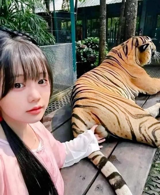 Un vrai chat-bite level master-shaolin