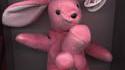 Chaud lapin