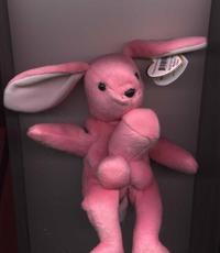 Chaud lapin