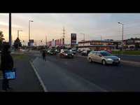 Des zèbres en ville