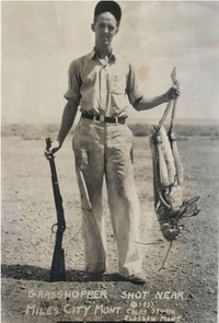 Une sauterelle abattue dans le Montana en 1937