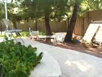 Parkour de chèvre