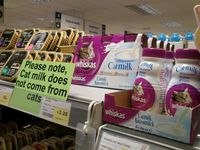 Lait pour chat