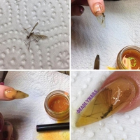 Les ongles de John Hamonnd