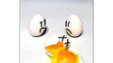 Best Of oeufs