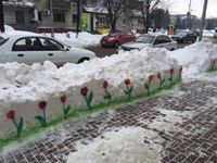 C'est ça des perce-neige? 