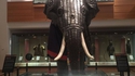 La seule armure d'éléphants connue