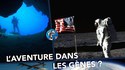 En altitude ou en profondeur...