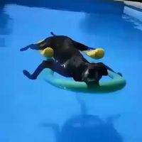 L'important dans la vie