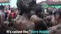 Le festival Gure Habba
