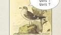 C'est chiant, on comprend rien