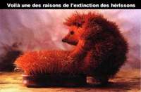 Hérisson