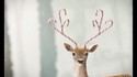Wild Christmas