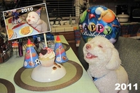 L'anniversaire du chien