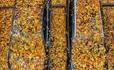 Collection d'automne