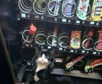 Arrête de m’filmer et va chercher de l’aide du con.