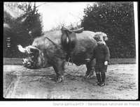 Cochon et enfant, il y a 100 ans environ.