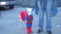 Super dog