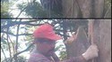 Mario grimpe IRL