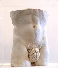 Le cerveau d'un homme