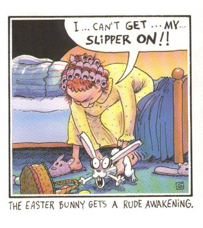 Quel mauvais réveil pour le lapin.