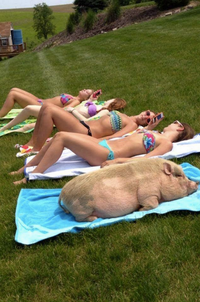 Séance de bronzage